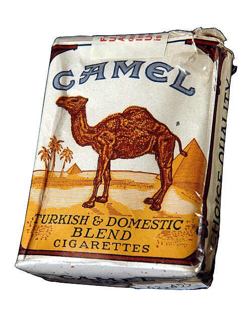 Camel